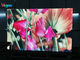 고해상 P1.667 HD 발광 다이오드 표시 컨퍼런스 센터 지도된 스크린 패널 협력 업체