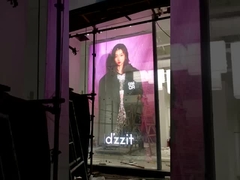 필름 화면 풀 컬러 P10 최대 전력 700w 사무실 건물 빠르게 방사